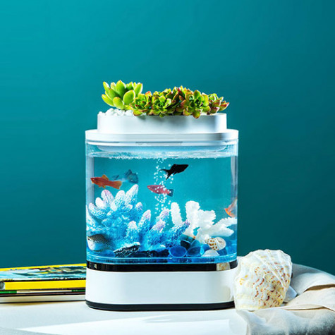 Geometry Mini Lazy Fish Tank